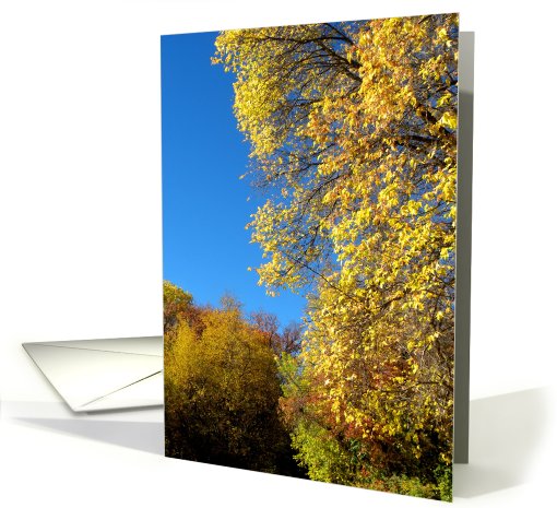 Blue Sky And Autumn Leaves card (713712)