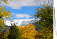 First Fall Snow card