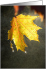 Autumn Leaf in Mist card