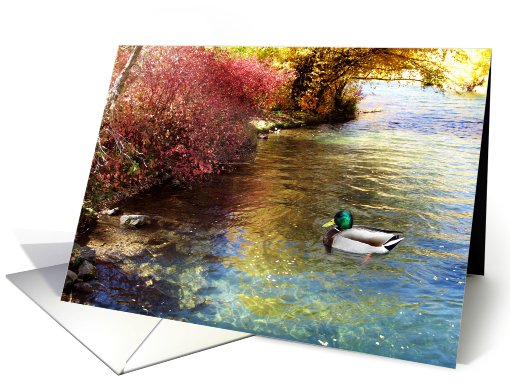 Duck With Fall Colors card (726906)