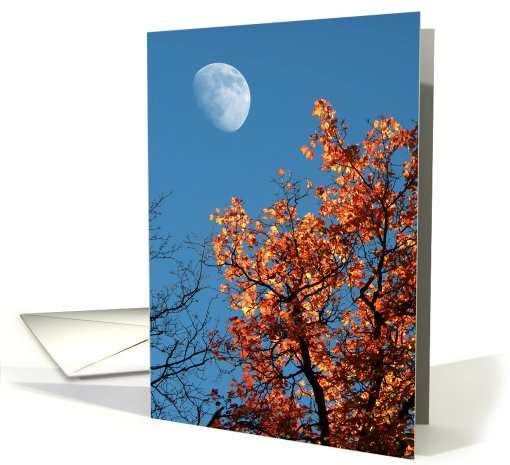 Autumn Moon card (728941)