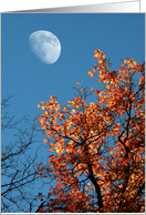 Autumn Moon card