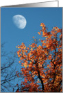 Autumn Moon card