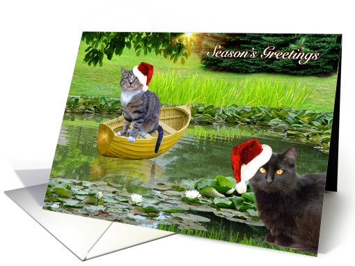 Season's Greetings Cats and Little Boat card (728950)