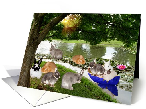 Bunny Redux card (730151)