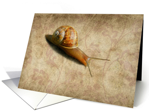 Paper Snail card (879273)