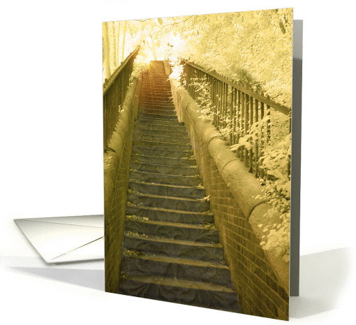 Golden Sun on Steps card (888075)
