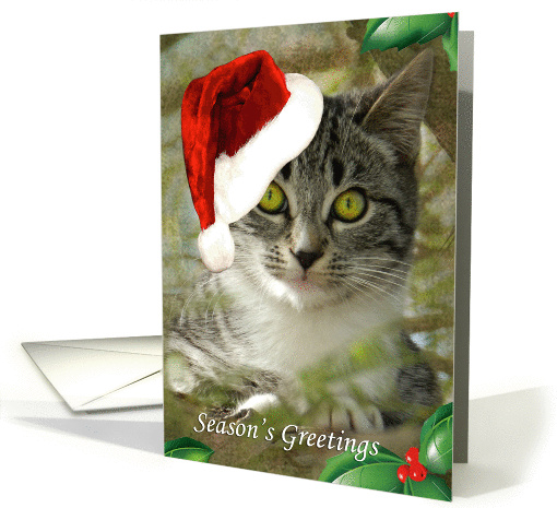 Adorable Kitten Season's Greetings card (889169)