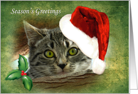Adorable Kitten Peeking Over Tree Limb Season’s Greetings card