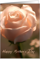 Mother Rose card