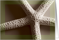 Starfish Beauty card