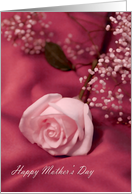 Mother’s Day Pink Rose card