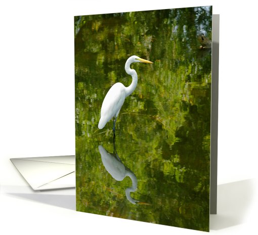 Egret Art card (670908)