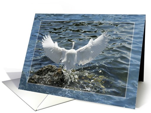 Snowy Egret card (670924)