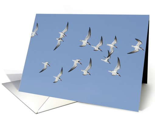 Shorebirds In Flight card (670929)
