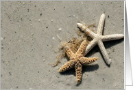 Beach Starfish Card