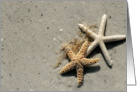 Beach Starfish Card