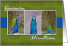 Peacock Birthday Card for Grandmother card