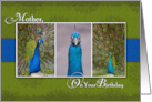 Peacock Photos on Birthday Card for Mother card