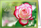 Happy Birthday, Evelyn- Pretty Rose in Garden card