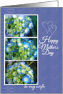 Mothers Day for Wife from Husband with Blue Hydrangea Photos card