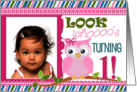 Look Who’s Turning 1 with Cute Owl and Your Custom Photo card