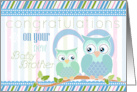 Congratulations on New Baby Brother with Two Cute Owls card