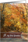 Dear Grandson Happy Thanksgiving with Fall Trees card