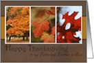 Trio of Fall Foliage Happy Thanksgiving for Sister and Brother in Law card