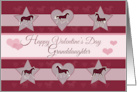 Horses Hearts and Stars Happy Valentines Day for Granddaughter card