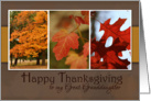 Trio of Fall Foliage- Happy Thanksgiving for Great Granddaughter card