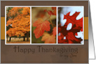 Trio of Fall Foliage pictures for Happy Thanksgiving to my Son card