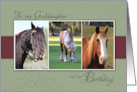 Trio of Horses photos for Happy Birthday to my Goddaughter card