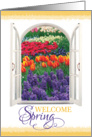 Welcome Spring! Window to Vibrant Tulip Garden card
