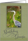 Happy Birthday Grandpa with Blue Heron Bird Photo card