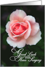 Good Luck with your Knee Surgery with Soft Pink Rose Photo card