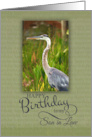 Happy Birthday Son in Law with Blue Heron Photo card