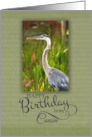 Happy Birthday to My Cousin with Blue Heron Photo card