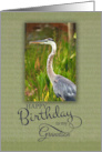 Happy Birthday to My Grandson with Blue Heron Photo card