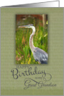 Happy Birthday to My Great Grandson with Blue Heron Photo card