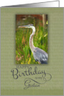 Happy Birthday to My Godson with Blue Heron Photo card