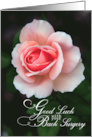 Good Luck with your Back Surgery with Soft Pink Rose card