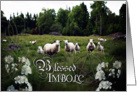 Blessed Imbolc, Sheep in Field, White Flowers, Pagan card