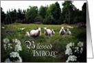 Blessed Imbolc, Sheep in Field, White Flowers, Pagan card