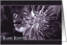 Happy Boss’s Day with Close Up Bromeliad Photo card