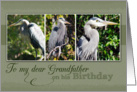 To My dear Grandfather on his Birthday-Blue Heron Photos card