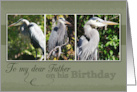 To My Dear Father on his Birthday with Blue Heron Photos card