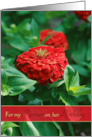 Red Zinnia Flowers for Birthday for Life Partner card