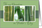 To My Grandson on Fathers Day with Bamboo Photos card