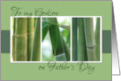 To My Godson on Fathers Day with Bamboo Photos card